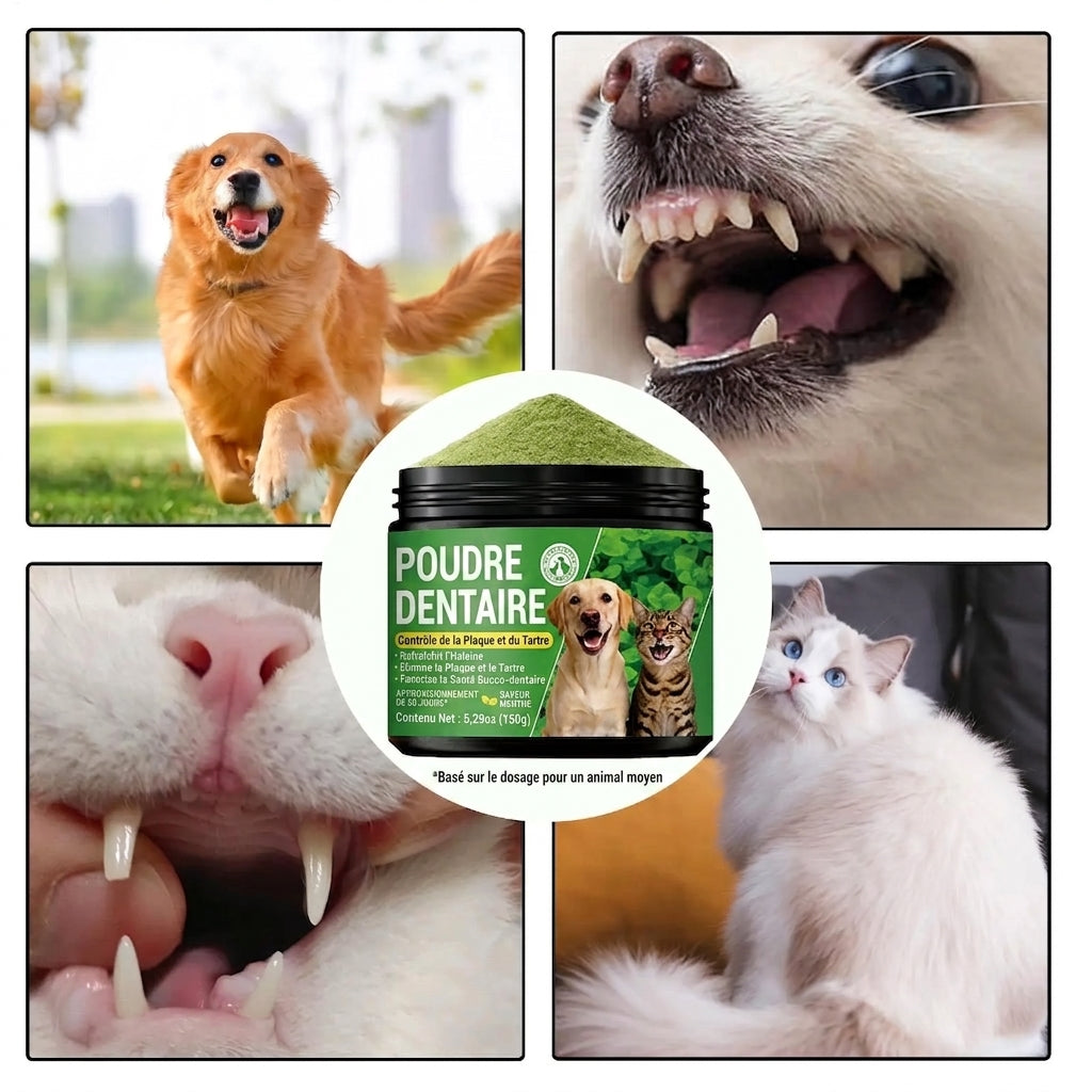Poudre dentaire pour chien 150g - Anti-mauvaise haleine