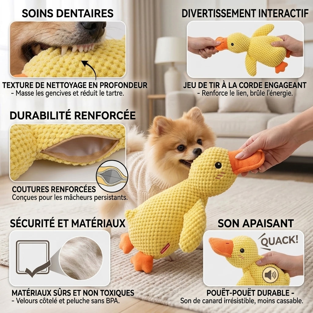 Jouet canard en peluche pour chien - Anti-ennui, résistant à la mastication
