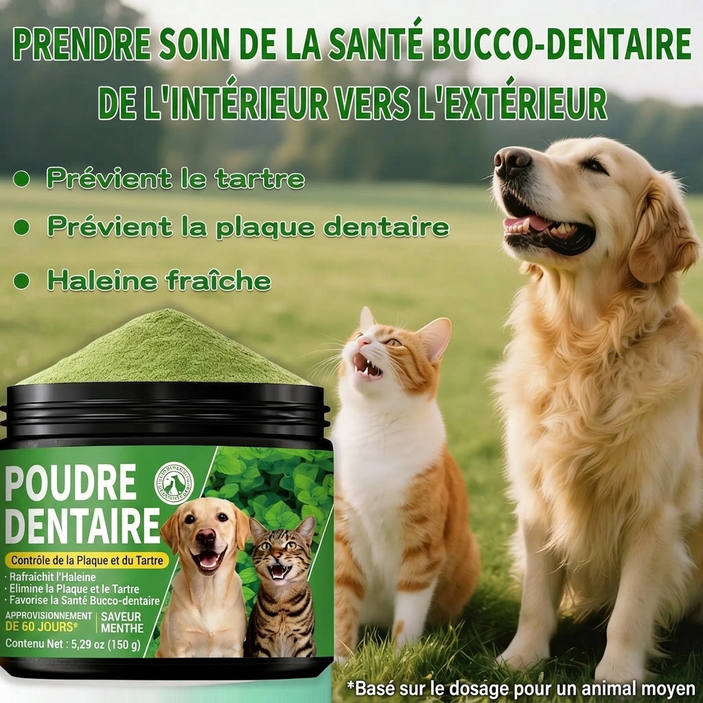 Poudre dentaire pour chien 150g - Anti-mauvaise haleine