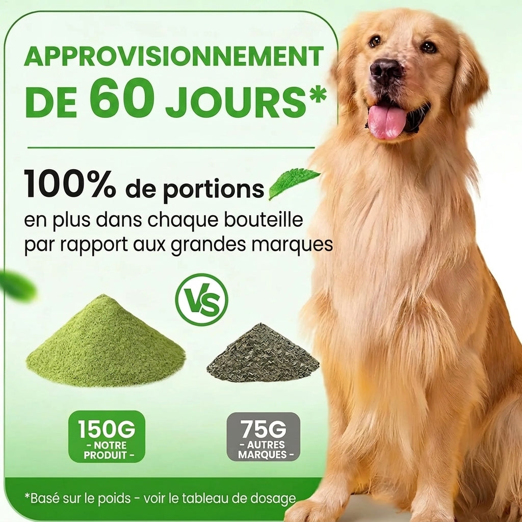 Poudre dentaire pour chien 150g - Anti-mauvaise haleine